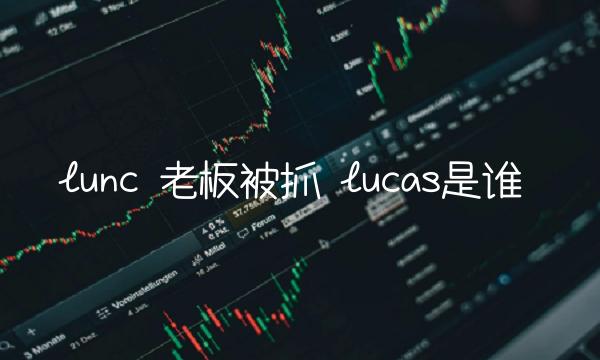 老板被抓-第1张图片-芝麻交易所下载